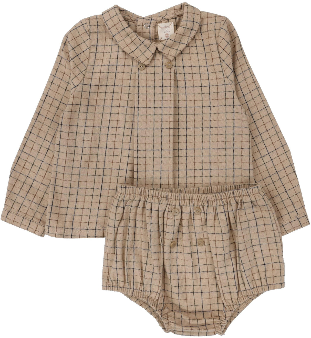 Windowpane Windowpane