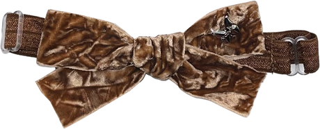 walnut walnut