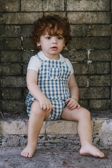 Analogie by Lil Legs Gingham Collection Baby Toddler Boys Suspender Romper - GSPR Analogie by Lil Legs Gingham Collection Baby Toddler Boys Suspender Romper - GSPR