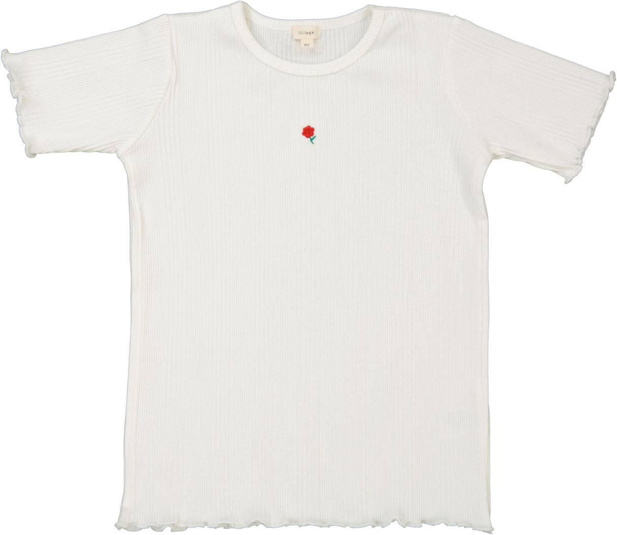 Winter White Winter White