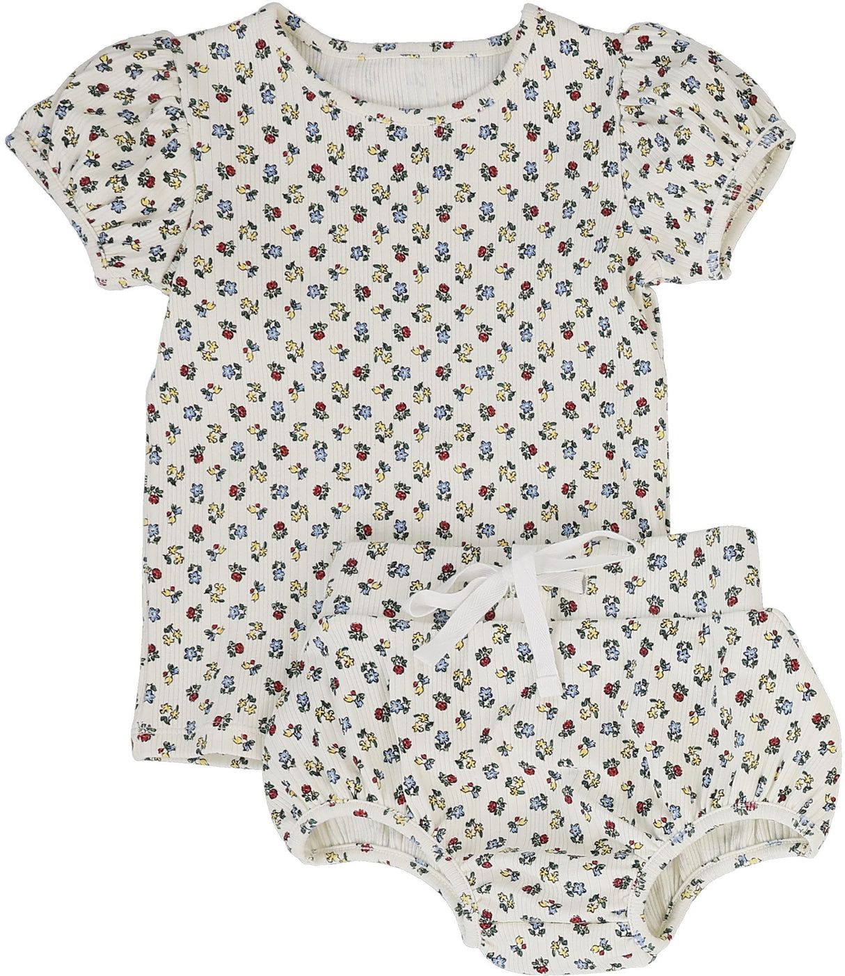 Primary Floral Primary Floral