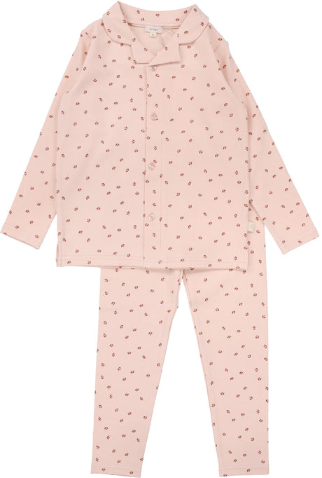 Pink Tulip Pink Tulip