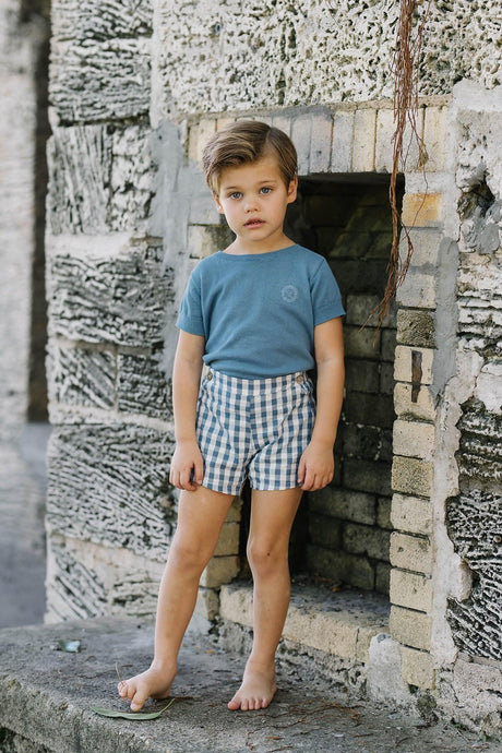 Analogie by Lil Legs Gingham Collection Boys Pull On Dress Shorts - GPOS Analogie by Lil Legs Gingham Collection Boys Pull On Dress Shorts - GPOS