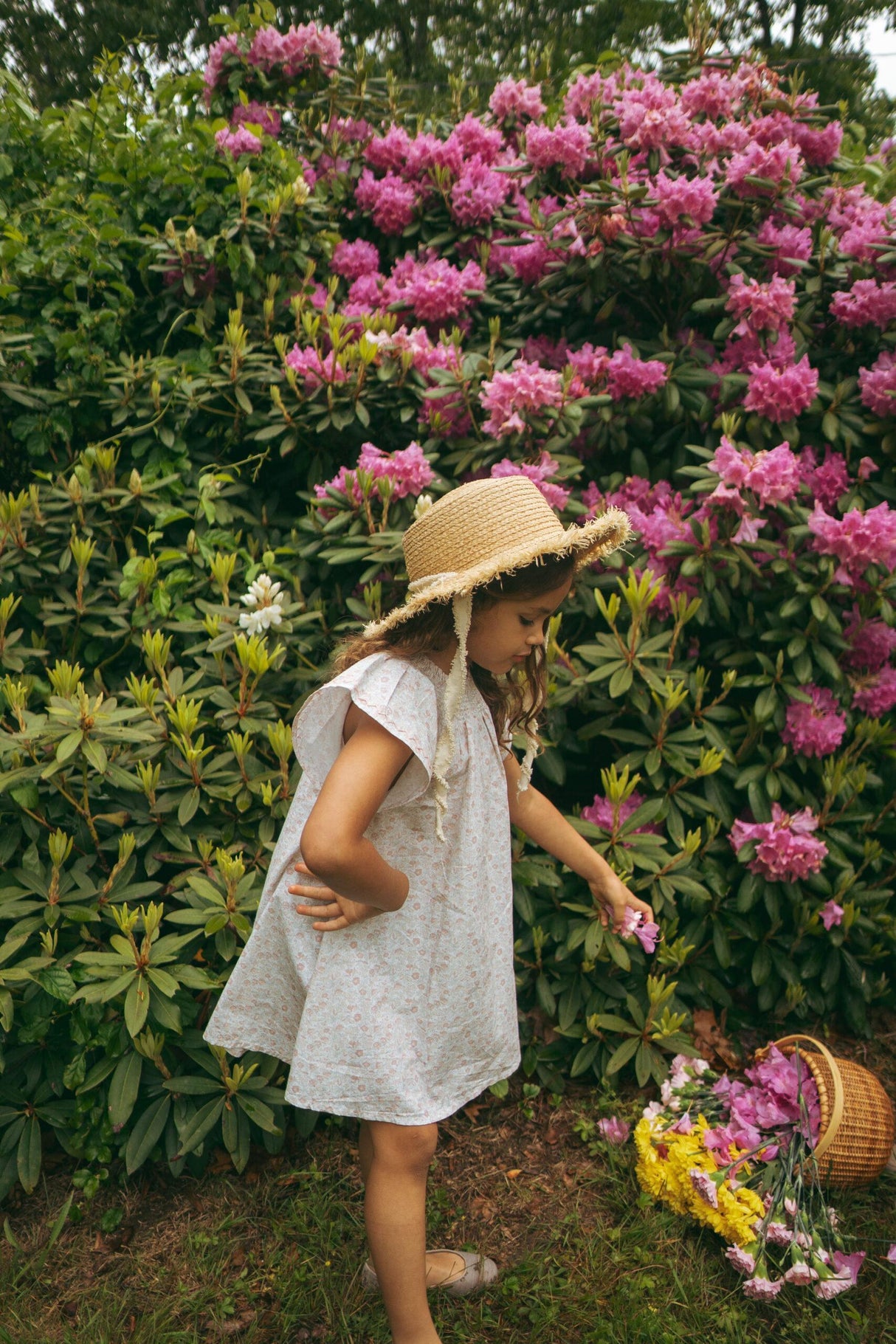 Analogie by Lil Legs Sunny Blossoms Collection Girls Flutter Short Sleeve Dress - SBFD Analogie by Lil Legs Sunny Blossoms Collection Girls Flutter Short Sleeve Dress - SBFD