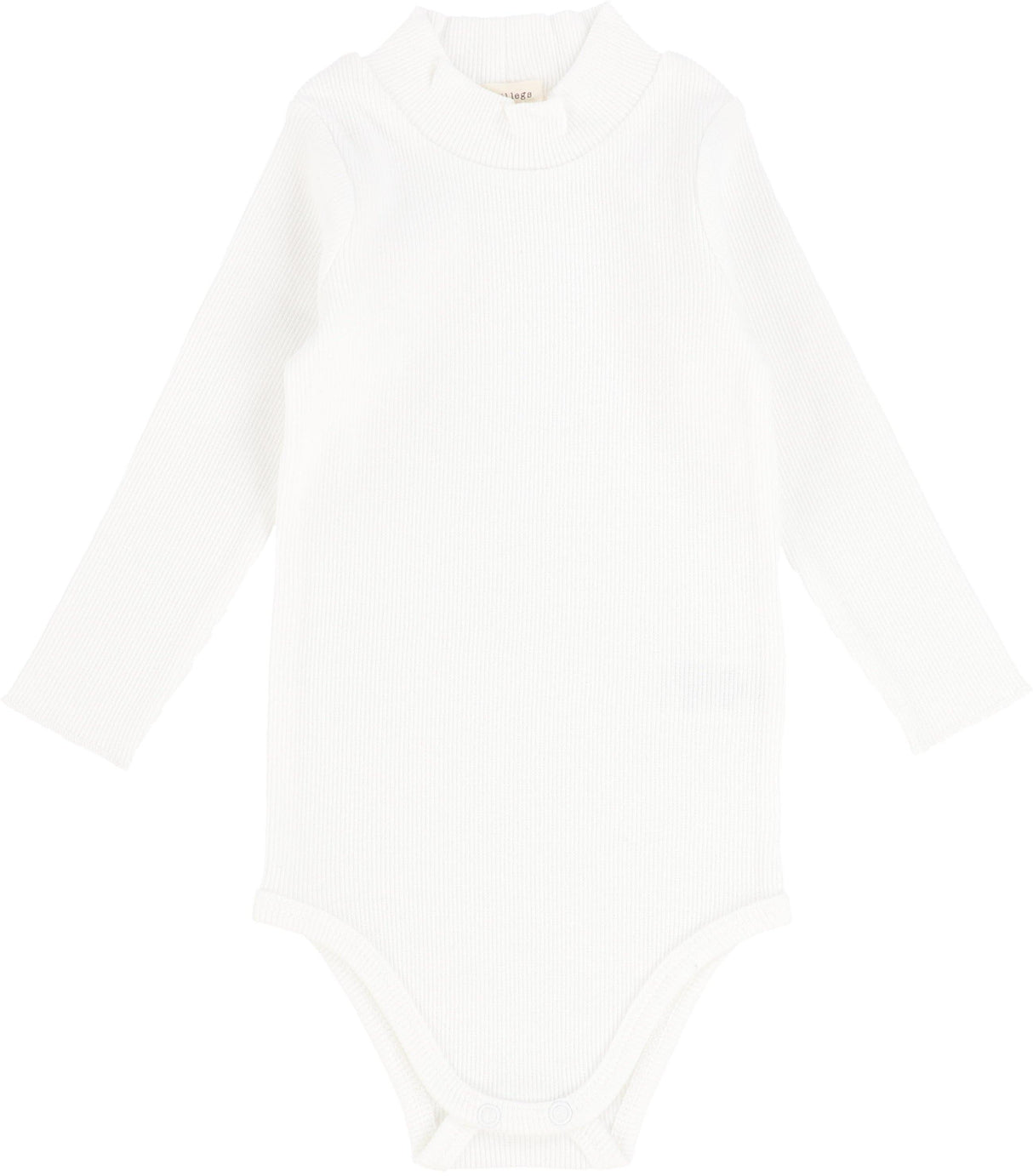 Winter White Winter White