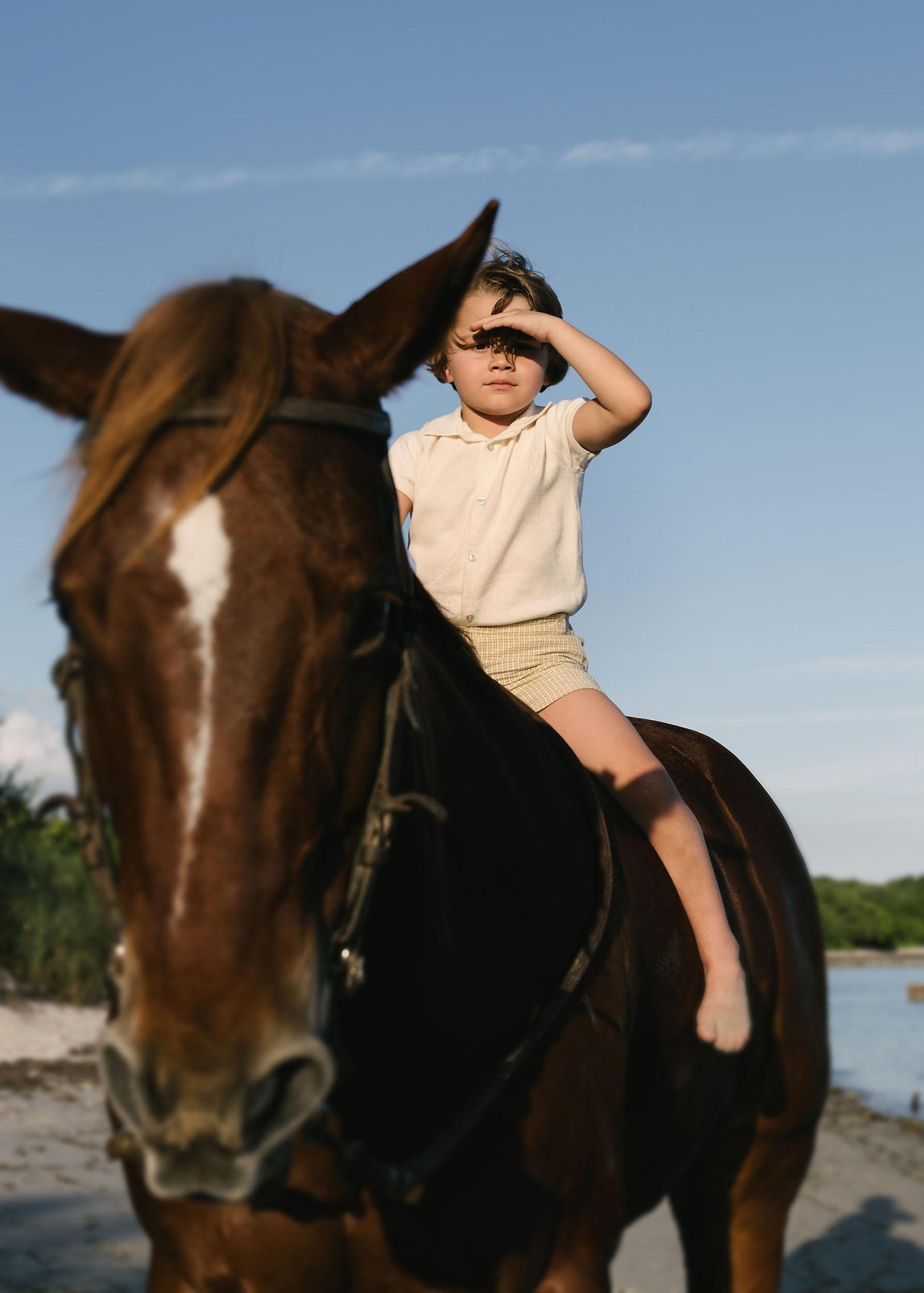 Analogie by Lil Legs Signature Collection Boys Grandpa Knit Short Sleeve Sweater - SGSW Analogie by Lil Legs Signature Collection Boys Grandpa Knit Short Sleeve Sweater - SGSW