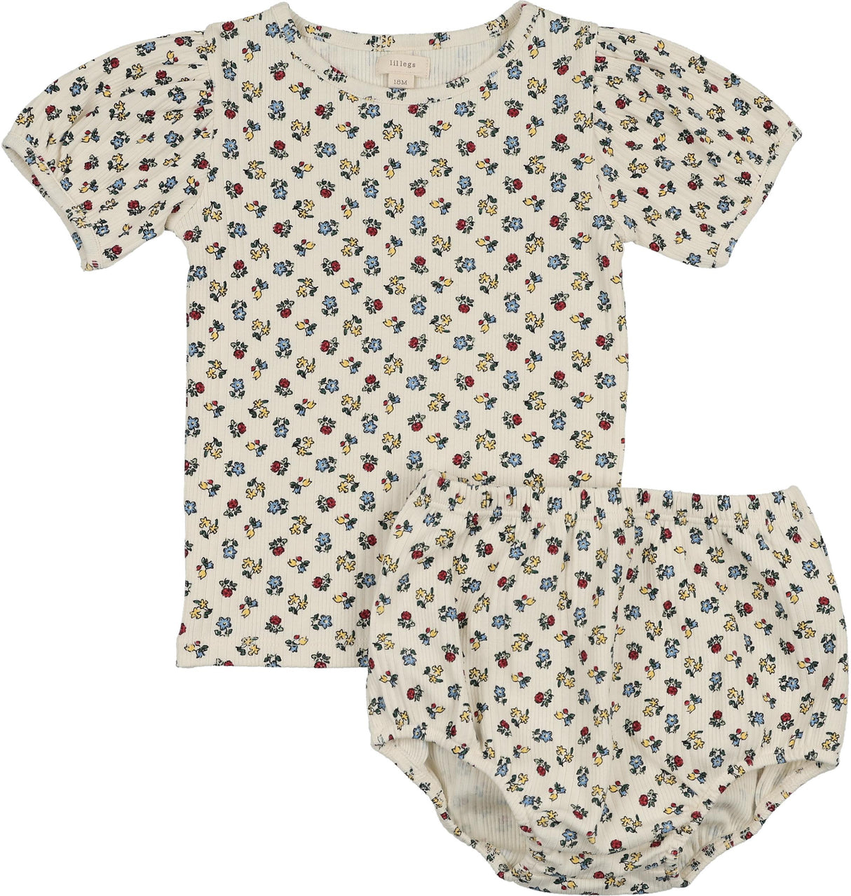 Primary Floral Primary Floral