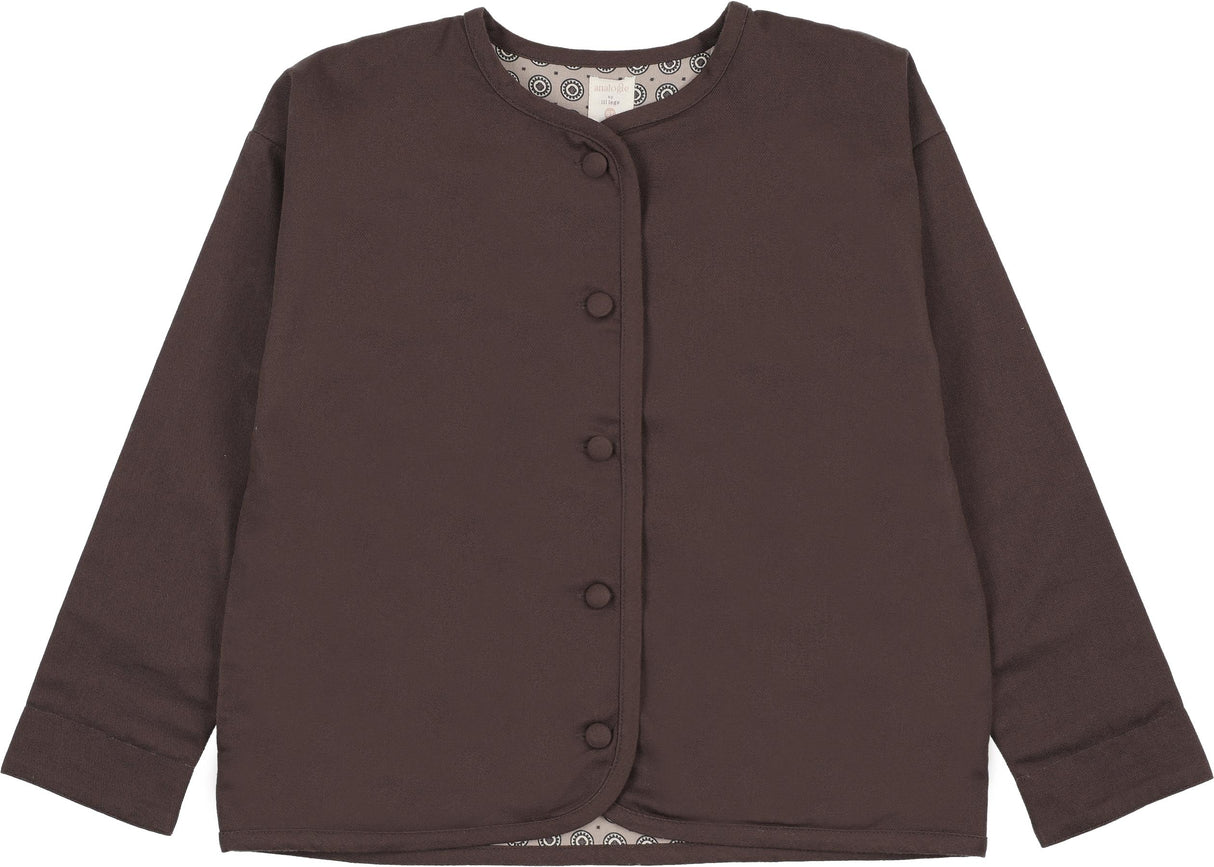 Chocolate Brown Chocolate Brown