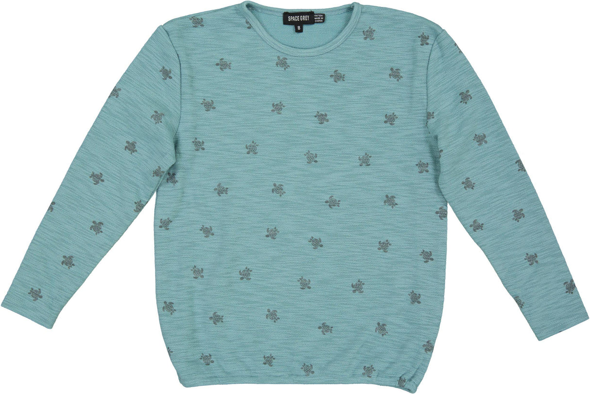 Space Gray Boys Turtle Print Short Sleeve T-shirt - SB5CY2621T Space Gray Boys Turtle Print Short Sleeve T-shirt - SB5CY2621T