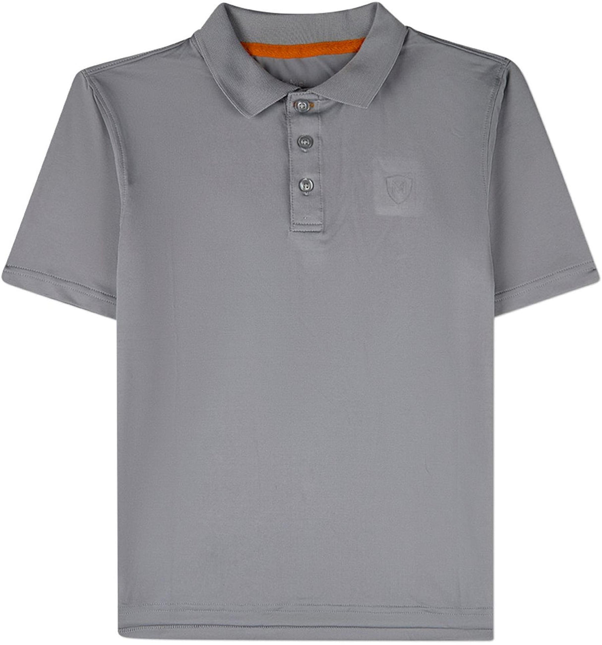 Silver Gray Silver Gray