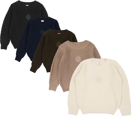 Analogie by Lil Legs Shabbos Collection Boys Chunky Crest Knit Sweater Analogie by Lil Legs Shabbos Collection Boys Chunky Crest Knit Sweater