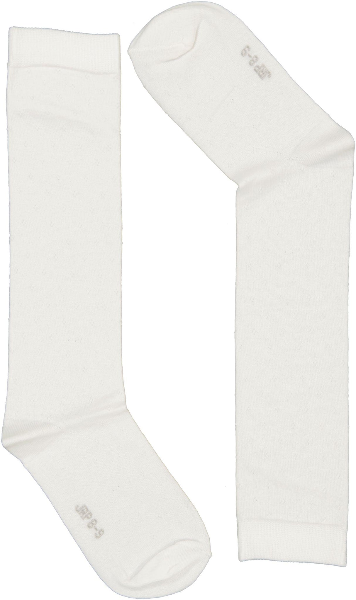 Winter White Winter White