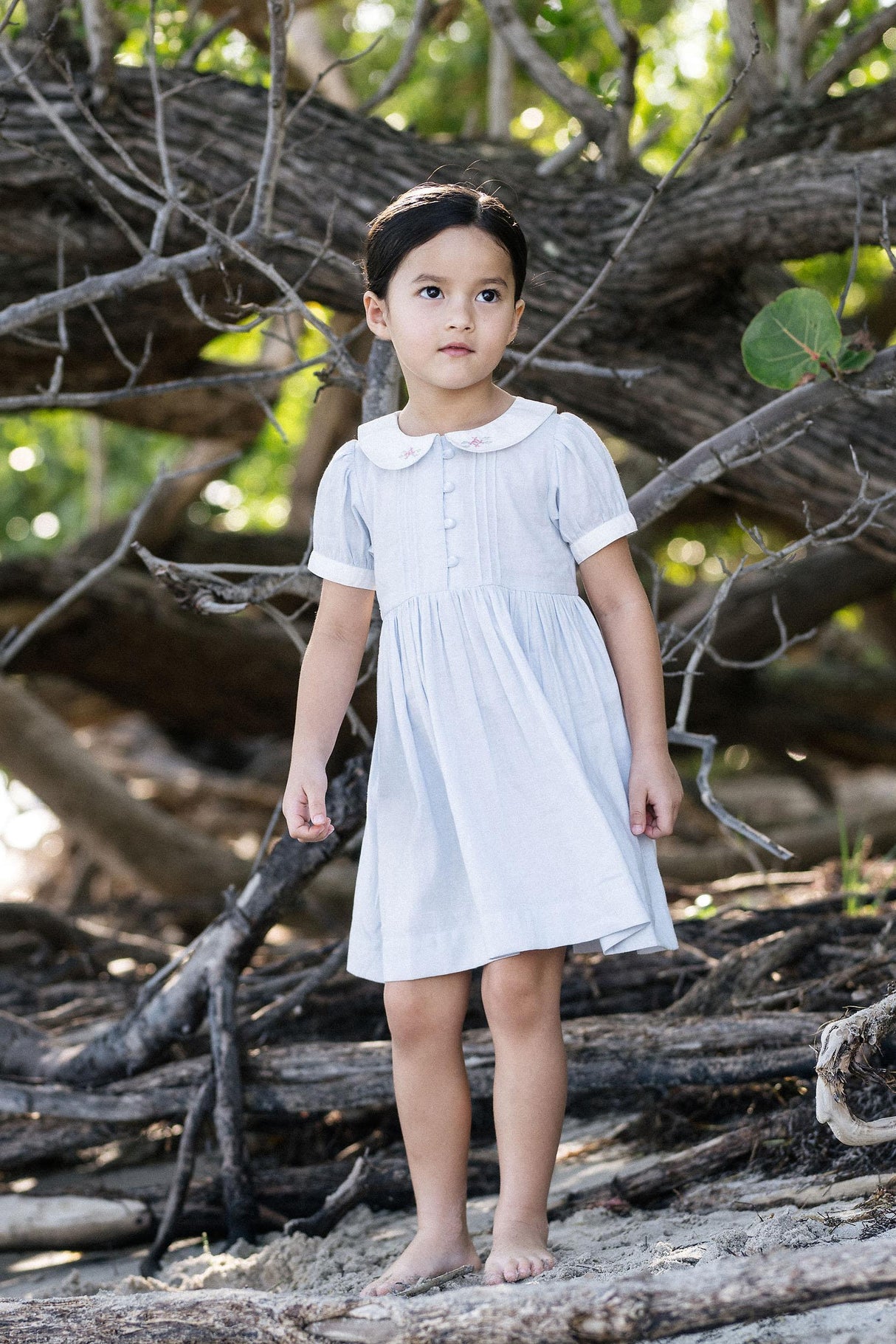 Analogie by Lil Legs Embroidered Linen Collection Girls Short Sleeve Pintuck Collar Dress - MECDS Analogie by Lil Legs Embroidered Linen Collection Girls Short Sleeve Pintuck Collar Dress - MECDS