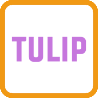 Tulip