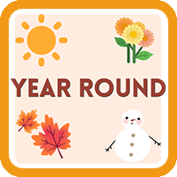 Year Round