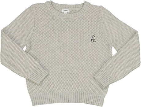 Bonjoy Boys Sweater - BTW25029BCT