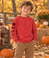 Bonjoy Boys Alpes Sweatshirt - TW26011SW