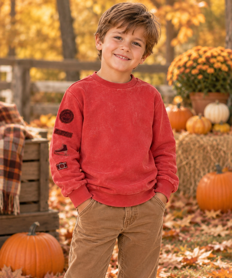 Bonjoy Boys Alpes Sweatshirt - TW26011SW