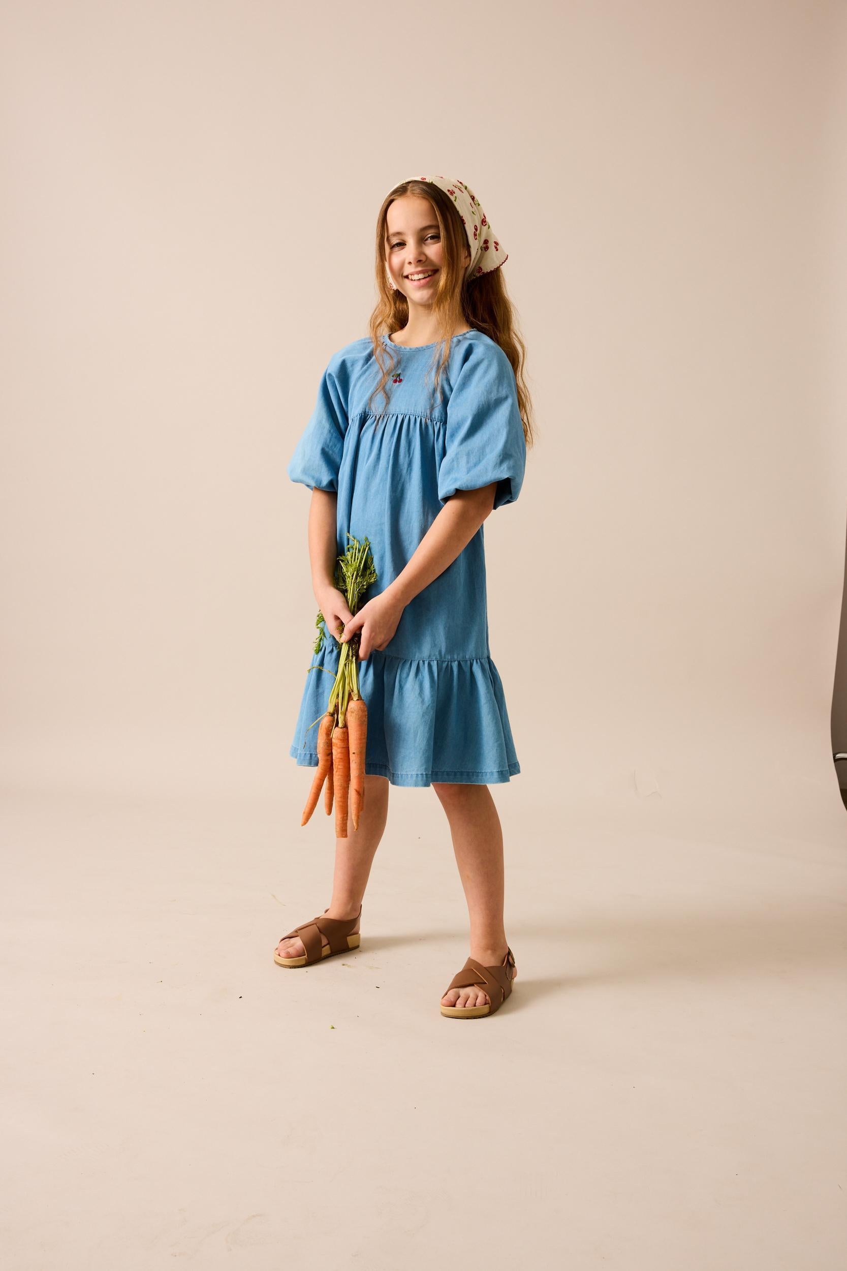 Analogie Lil Legs Denim Capsule Collection Girls 3/4 Sleeve Dress