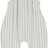 Blue Stripe