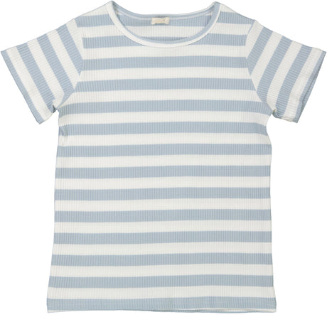 Light Blue/Winter White