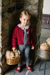 Analogie by Lil Legs Knit Collection Toddler Boys Girls Knit Suspender Leggings - KSLG