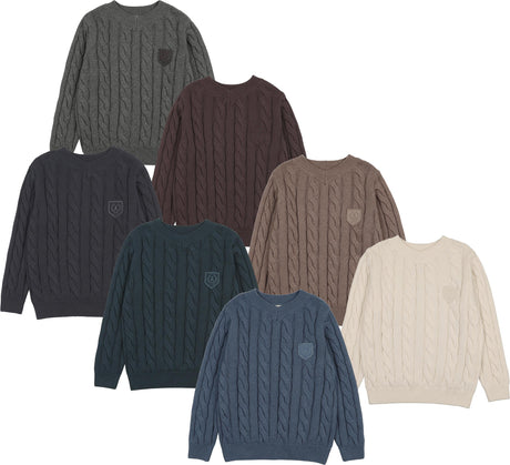 Analogie by Lil Legs Signature Collection Boys Chunky V-neck Sweater - AF26S529