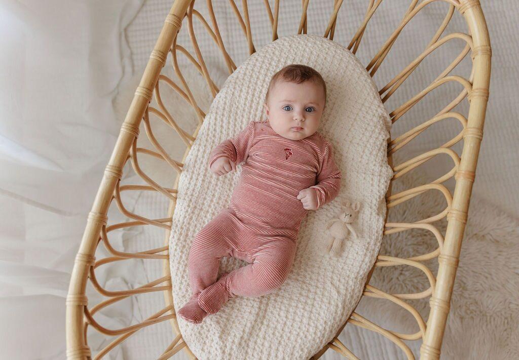 Ely's & Co Baby Boys Girls Velour Stripe Stretchie - AW25-002