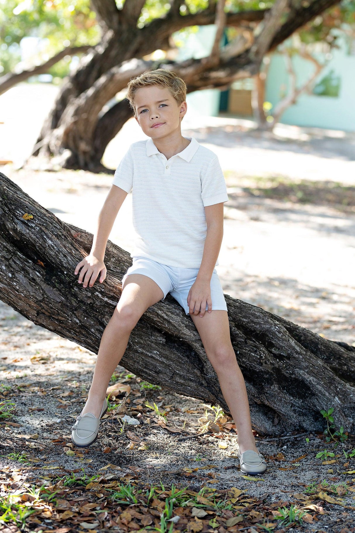 Analogie by Lil Legs Mountain Meadows Collection Boys Textured Stripe Short Sleeve Polo Sweater - TSKP