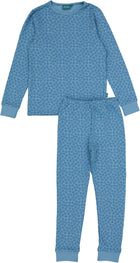Muted Blue