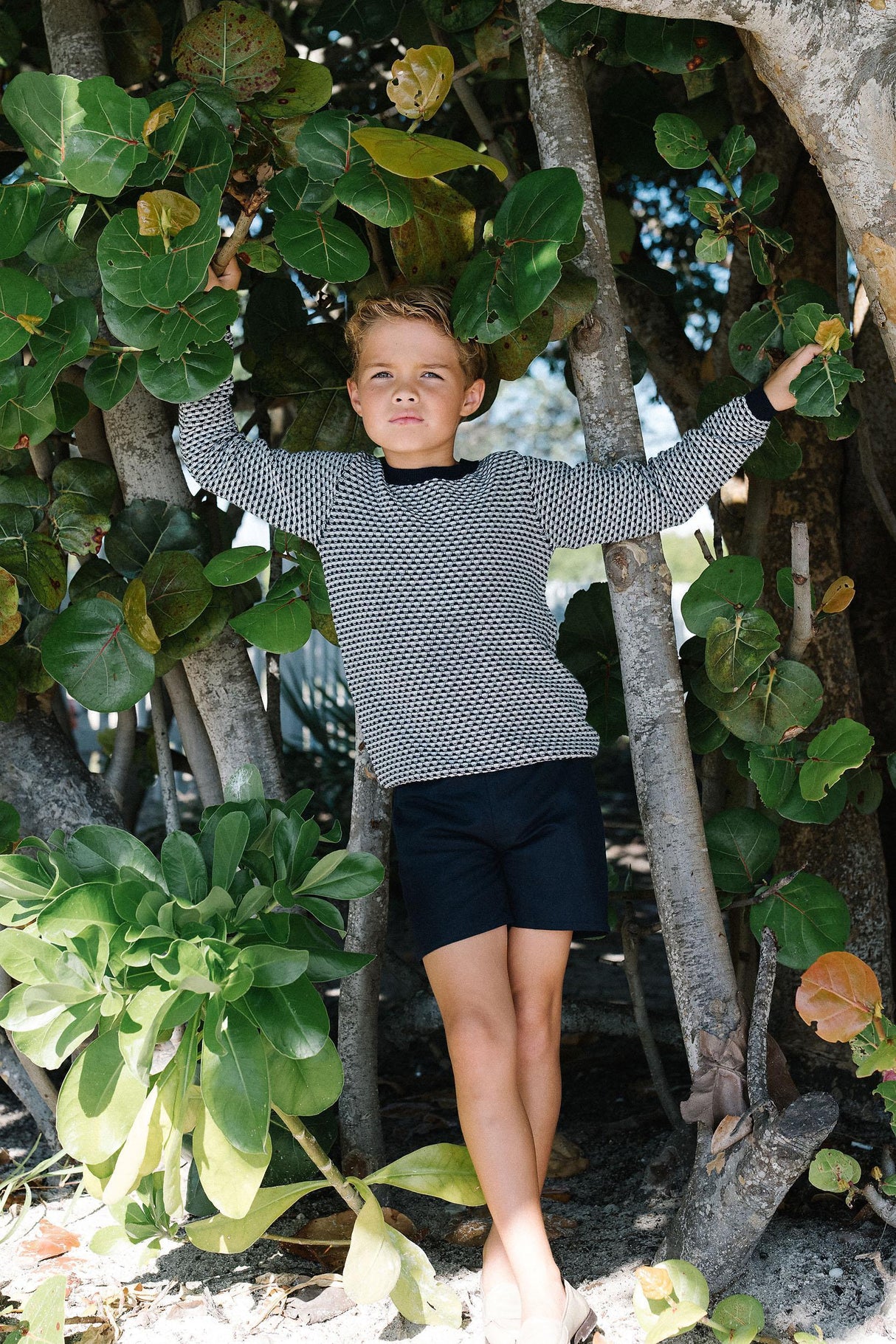 Analogie by Lil Legs Signature Collection Boys Solid Dress Shorts - SHST