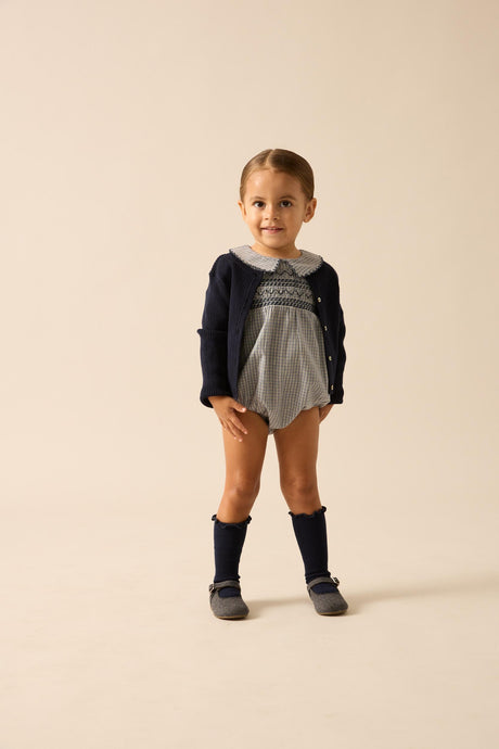 Dried Blue Plaid