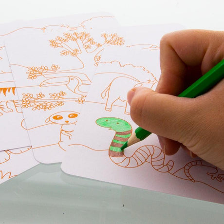 Bazic Animal Activity Sheets & Stickers - 3861