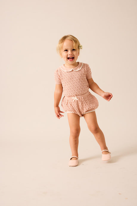 Analogie by Lil Legs Signature Collection Baby Girls Knit Outfit - SGKS
