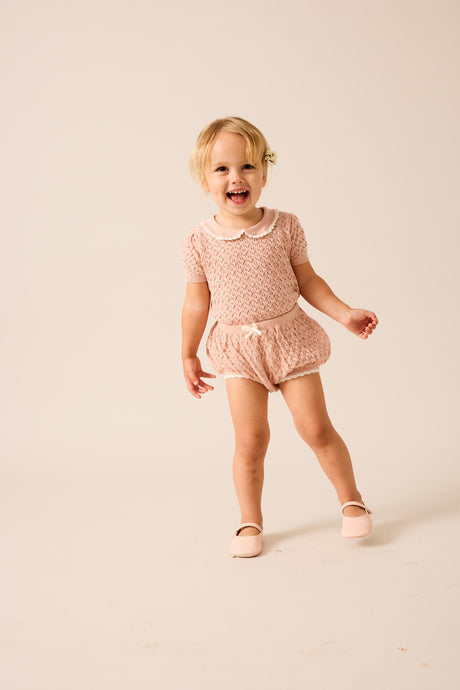 Analogie by Lil Legs Signature Collection Baby Girls Knit Outfit - SGKS
