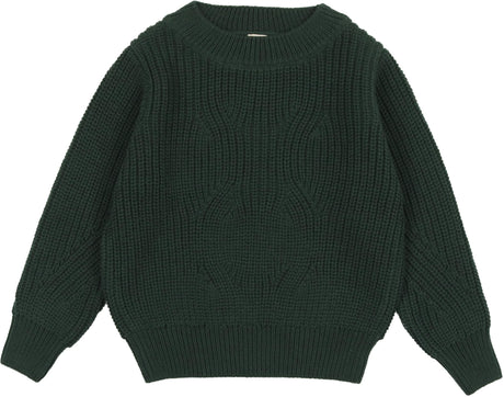 Analogie by Lil Legs Shabbos Collection Boys Girls Chunky Knit Sweater