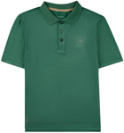 Spruce Green