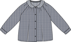 Dried Blue Plaid