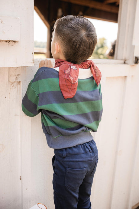 Teela Boys Stripe Long Sleeve Polo Shirt - 23-042