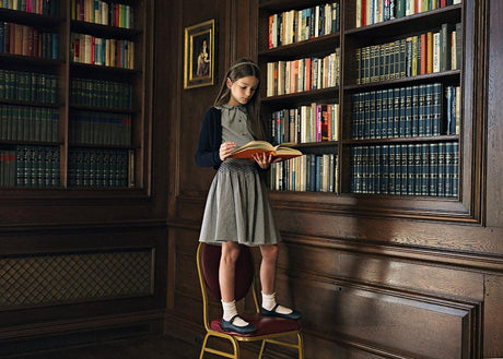 Analogie by Lil Legs Plaid Edition Collection Girls Skirt - AF26S804