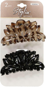 Black/Brown