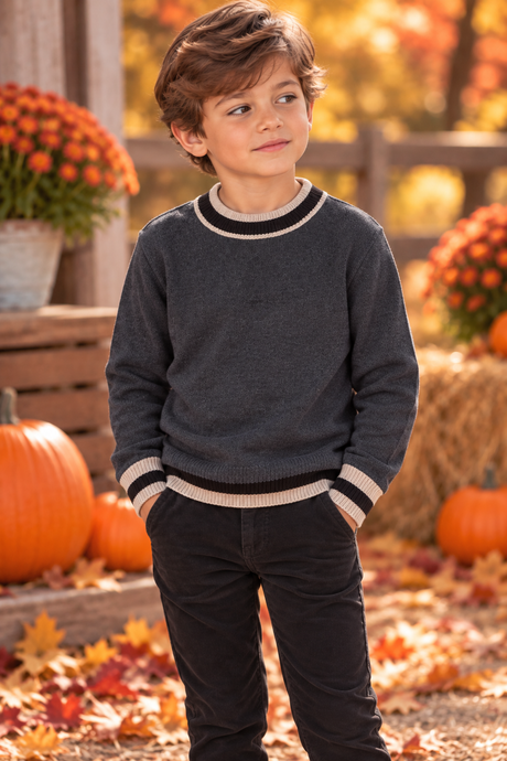 Harper James Boys Trim Sweater - C-27836