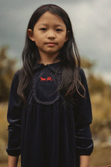 Jolie Capri Girls Velvet Eyelet Dress - WB6CY3150D