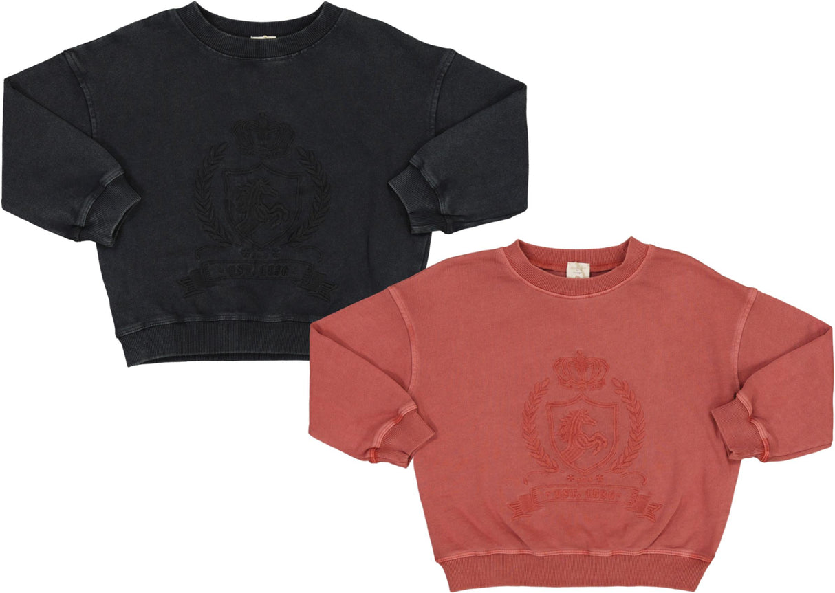 Analogie by Lil Legs Emblem Collection Boys Girls Sweatshirt - EMSW
