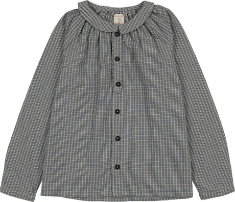 Dried Blue Plaid